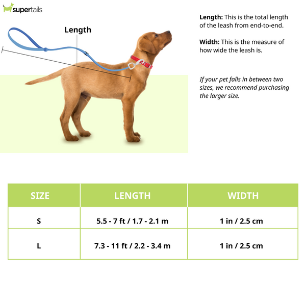 Ruffwear Roamer Bungee Dog Leash - Red Sumac - Hands-Free or Handheld, Stretch Webbing, 5.5-7 ft