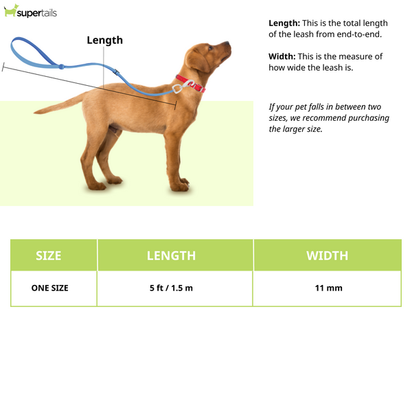 Ruffwear Just-a-Cinch Leash - Red Sumac Dog Leash & Collar Combination