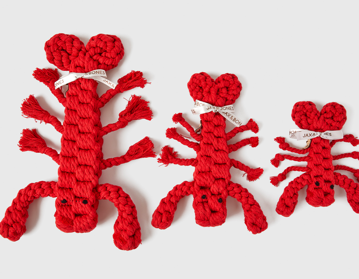 Jax & Bones Lobster Rope Dog Toy - Durable & Fun Chewing Toy