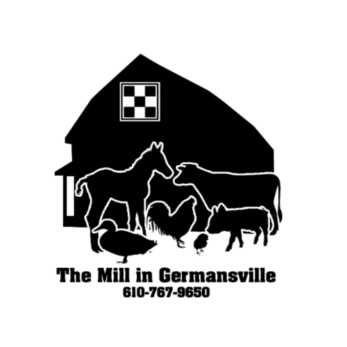 PupCup Pumpkin Flavor Whip Treat for Dogs - 13oz Dog Dessert Topping