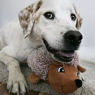 KONG Comfort HedgeHug Assorted Dog Toy - XSmall