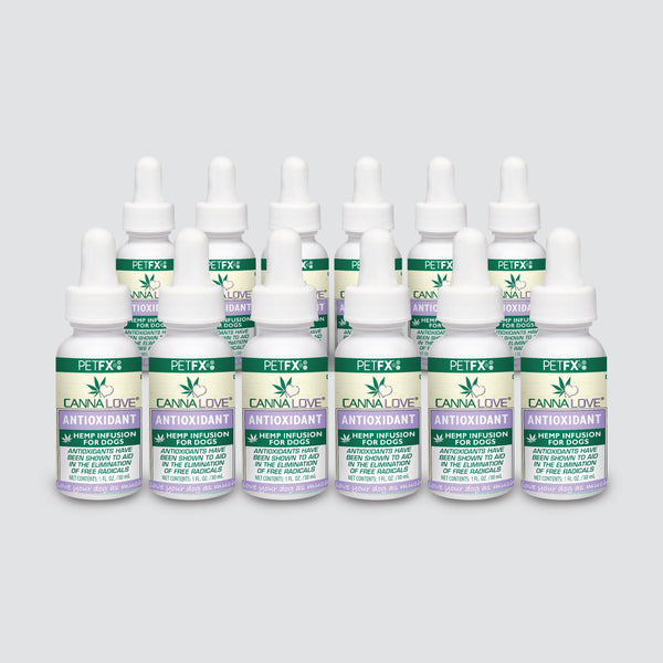 CannaLove PetFX Antioxidant Hemp Infusion for Dogs - 1 fl oz