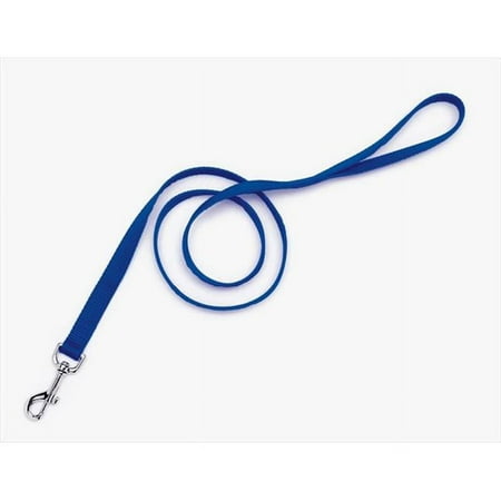 Coastal Single-Ply Nylon Dog Leash, Blue, 1 inch x 4 feet