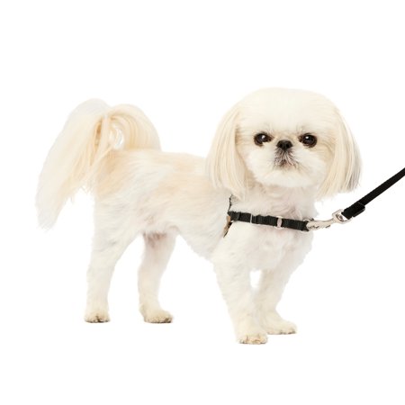 PetSafe Easy Walk Dog Harness - Petite Size, Black/Silver - No-Pull Training