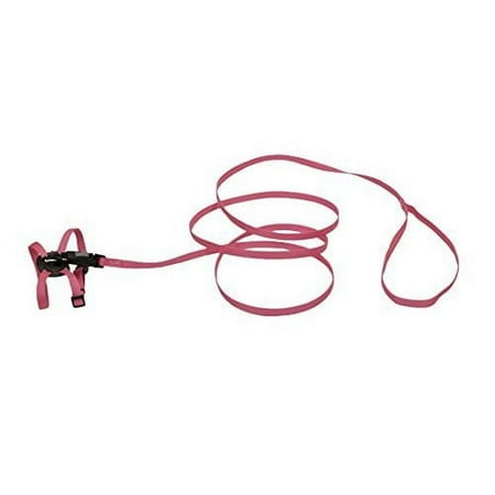 Coastal Pet Lil' Pals Kitten Harness & 6ft Leash Combo - 5/16 Inch, 6-10 Inch Girth - Neon Pink