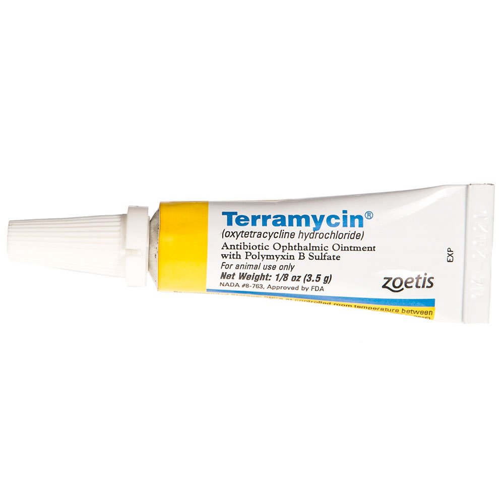 Terramycin Ophthalmic Ointment with Polymyxin B Sulfate - 3.5g Tube - Antibiotic Eye Treatment for Pets & Livestock