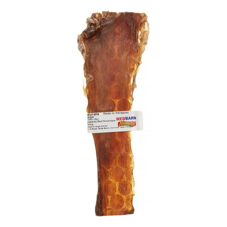 RedBarn Barky Bark Dog Treat - Natural Beef Esophagus Bone, Large, 10 Inch Chew
