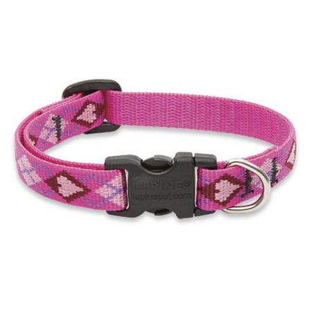 LupinePet Originals 1/2" Puppy Love Dog Collar, Adjustable 10-16" Neck, Small Dogs