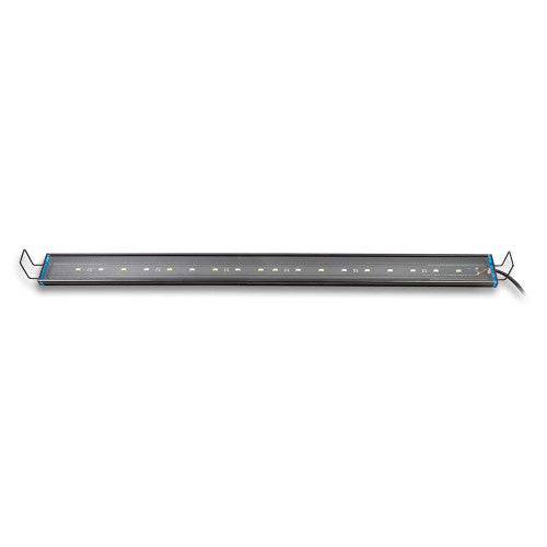 Aquatic Life Reno Saltwater LED Light Fixture - Blue/White - 24 Inch