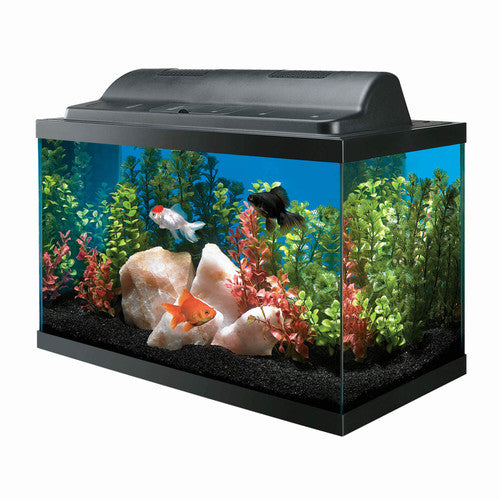 Aqueon 10 Gallon Basic Aquarium Kit - Complete Starter Kit for Fish
