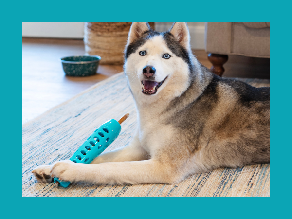 Messy Mutts Framed Silicone Lick Bowl Mat, 9.5" x 9.5", Slow Feeder for Dogs & Cats, Blue