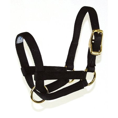 Hamilton Halter Livestock Goat Adjustable Durable Nylon S...