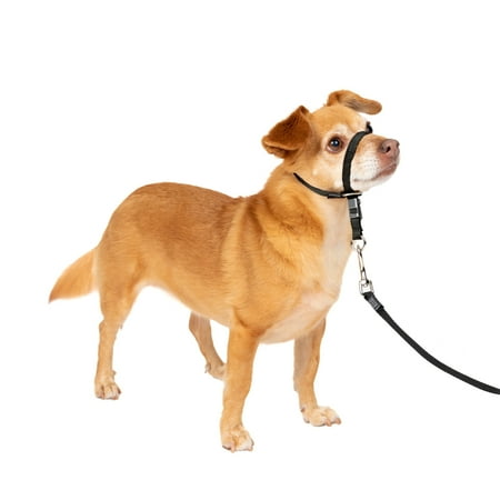 PetSafe Gentle Leader Headcollar - Petite, Black - No-Pull Dog Training Collar