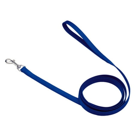 Coastal Pet Single-Ply Nylon Dog Leash Blue 5/8 inch x 6 ft (72")