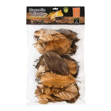 Galapagos Magnolia Leaves - Natural Leaf Litter for Bioactive Terrariums - 4 Quart