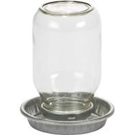 Little Giant Glass Mason Jar Baby Chick Waterer  1 Quart