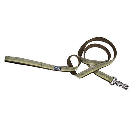 Coastal Pet K9 Explorer Reflective Dog Leash, 1" x 6', Fern, Scissor Snap