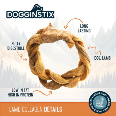 Dogginstix Braided Lamb Collagen Double Knot Dog Chew Treat