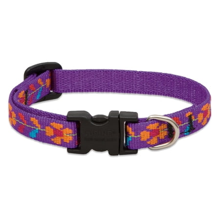 Lupine Collars and Leads 51134 1/2" x 8-12" Spring Fling ...