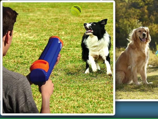 PetSport Naturflex Monkey Dog Toy - Natural Latex Rubber Squeaky Toy, 6 inch