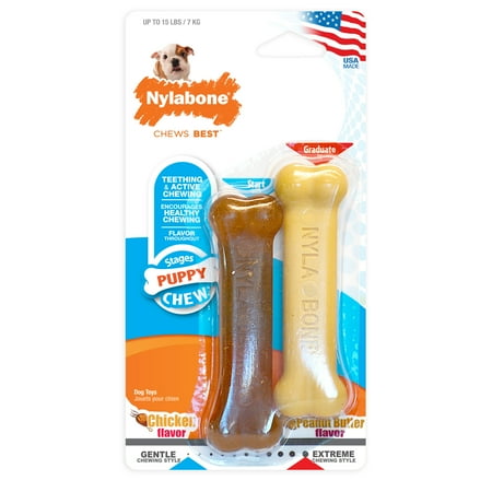 Nylabone Puppy Chew Twin Pack - Petite, Chicken & Peanut Butter Flavors, Dog Teething Toy