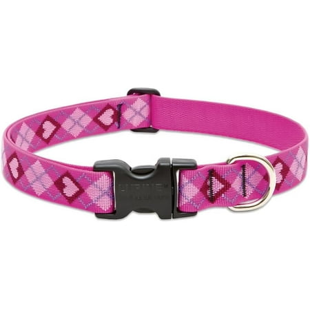 Lupine Adjustable Puppy Love Dog Collar, 1" Wide, Fits 16-28" Necks, Medium/Large Dogs