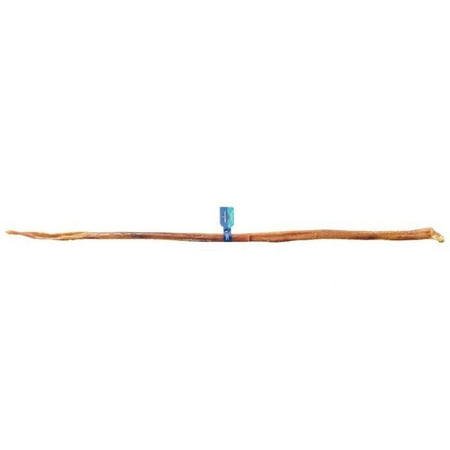 Barkworthies Odor-Free Bully Stick Full Cane for Dogs, Long Lasting Natural Chew Treat, 30-36 inch