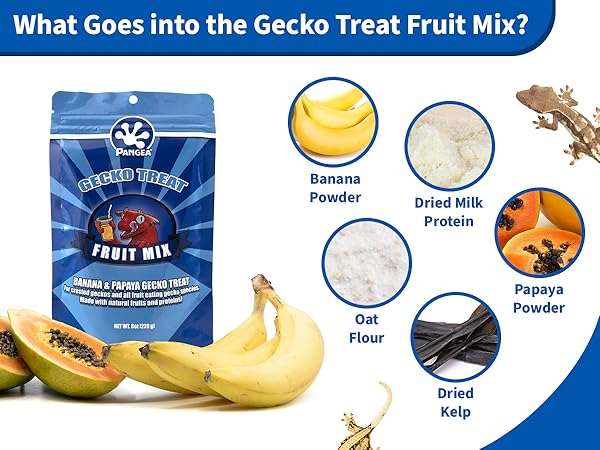 Pangea Fruit Mix Gecko Treat - Banana & Papaya - Original Gecko Diet Food - 8 oz