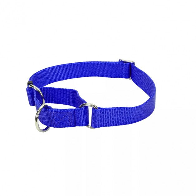 Coastal Pet No Slip Martingale Dog Collar with Buckle, Large 18-22 in, Blue, 3/4 Inch