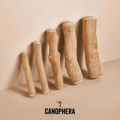 Canophera Coffee Wood Chew Stick Dog Treat - Medium