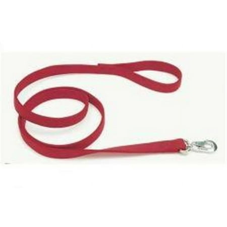 Coastal Single-Ply Nylon Dog Leash Red 3/4 in x 4 ft