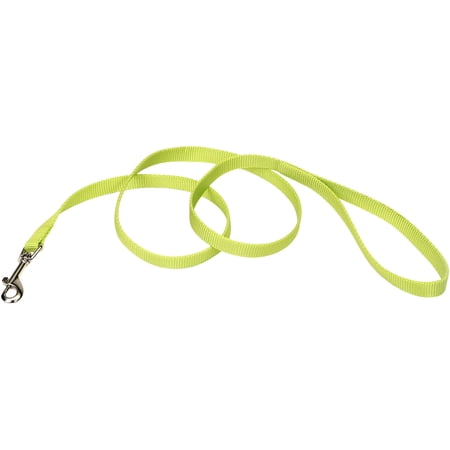 Coastal 5/8" x 4' Nylon Dog Leash - Lime Green