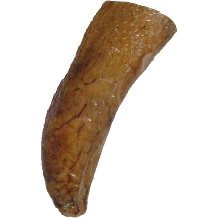 QT Dog Buffalo Horn Core Chew, Medium - Natural Dog Chew Toy