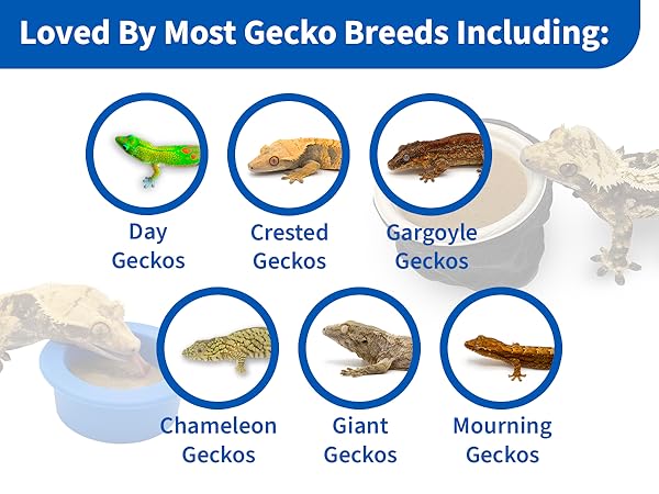 Pangea Gecko Diet with Papaya - 16 oz (1 lb) - Crested Gecko Food
