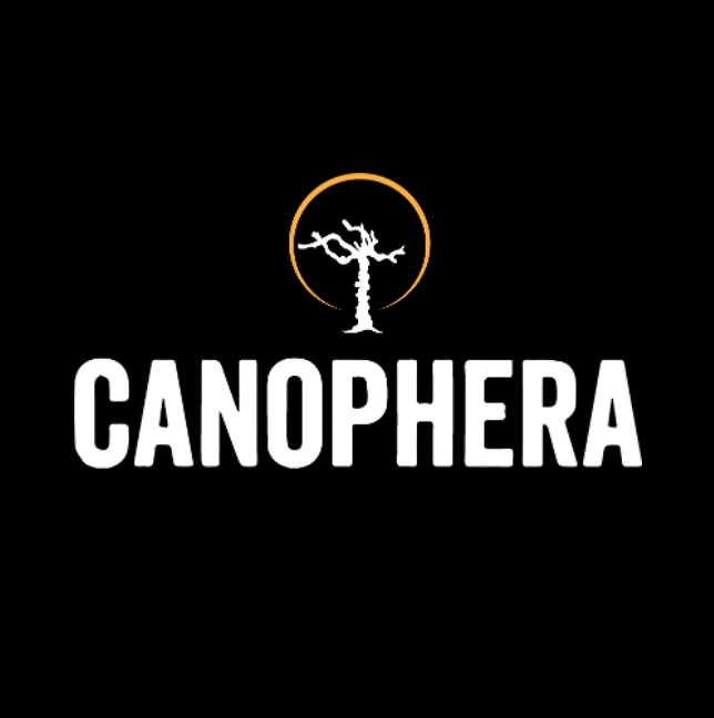 Canophera Briar Root Dog Chew - X-Small - Natural Long Lasting Treat