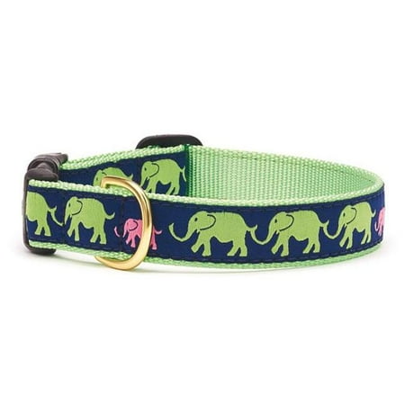 Up Country Leader of The Pach Dog Collar - Medium