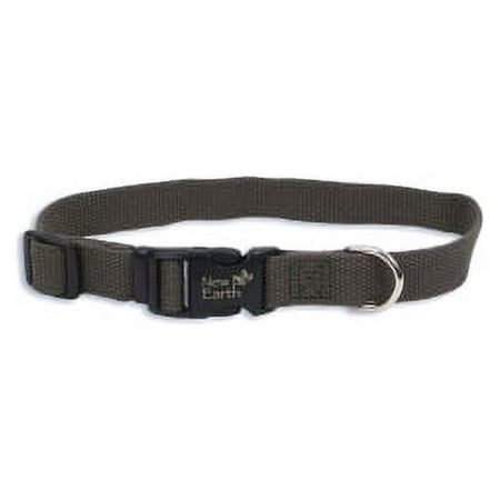 Coastal Pet New Earth Soy Dog Collar - Forest Green - 3/8" x 6-8" - Extra Extra Small Adjustable Collar