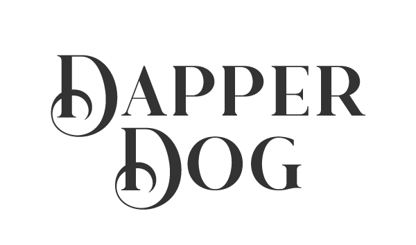 Coastal Pet Inspire Dog Collar - Red, Adjustable 1" Wide, 18-26" Large