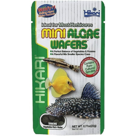 Hikari Algae Wafers Fish Food - Tropical Sinking Wafers for Plecostomus & Algae Eaters - 0.70oz