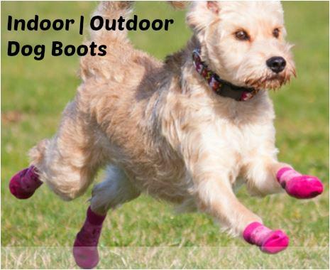 RC Pet Products Sport PAWks Dog Socks - Paw Protection, Anti-Slip