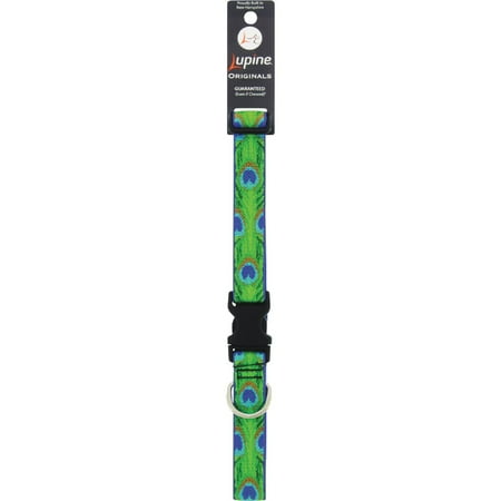 LupinePet Originals Tail Feathers Dog Collar, 1" Wide, 16-28" Adjustable, Large Dogs