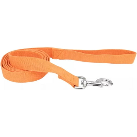 Coastal Pet New Earth Soy Dog Leash - Pumpkin - 1" x 6' - Eco-Friendly Lead