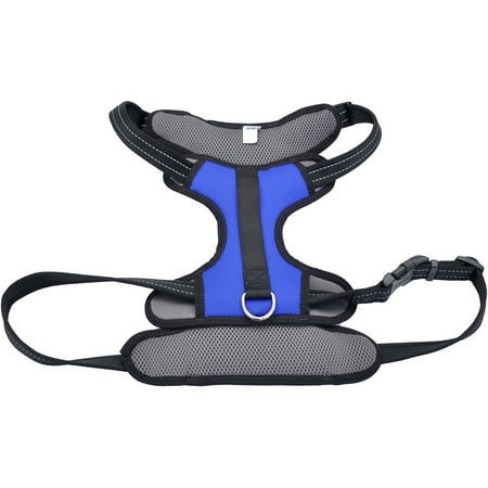 Coastal Reflective Control Handle Harness-Blue Extra Large
