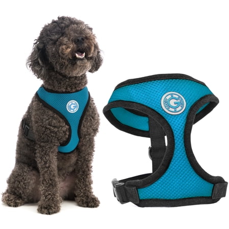 Gooby Soft Mesh Dog Harness - Small, Choke-Free Walking Vest, Sea Blue, 9"-13" Chest