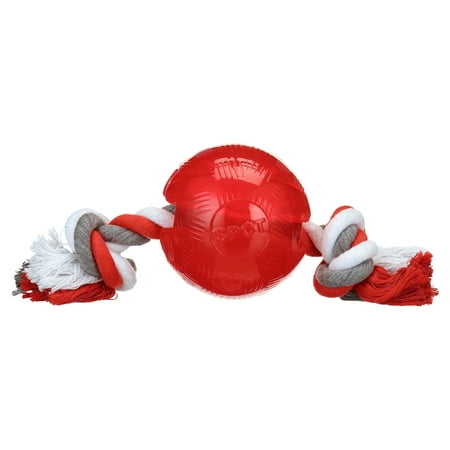 SPOT Play Strong Ball Dog Toy