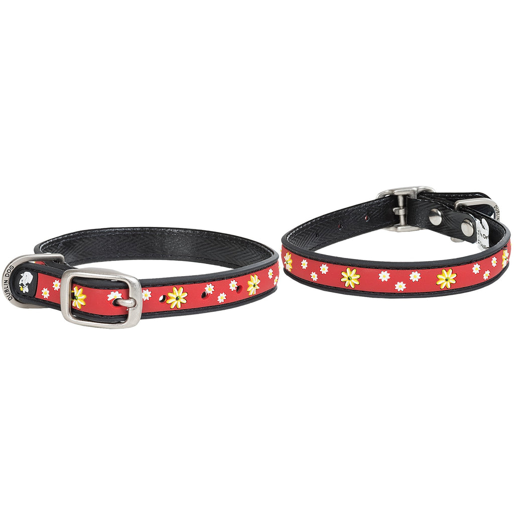 All Style No Stink Daisy Daze - Black - Eyed Susan - Small