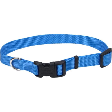 Coastal Pet Pro Waterproof Dog Collar, 1 in, 14-20 in, Lagoon Blue