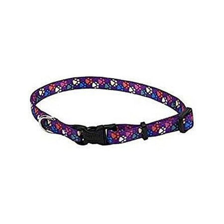 Coastal Dog Collar