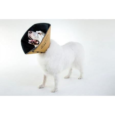 AFP Comfy Cone - XXL - Tan - Soft Padded Pet Recovery Collar - All Four Paws
