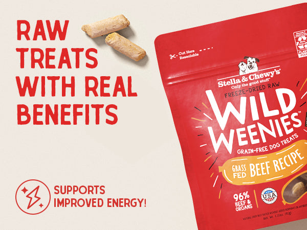 Stella & Chewy's Wild Weenies Freeze-Dried Raw Duck Dog Treats, 3.25 oz